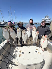 Halibut Limits up to 25lbs!
