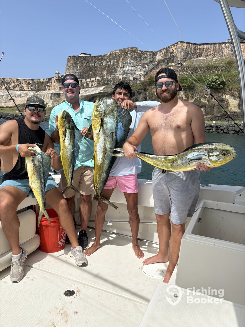 San Juan Report Photo 0