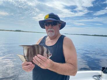 Everything‘s is biting