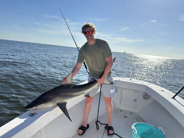 Jacksonville Report Photo 2