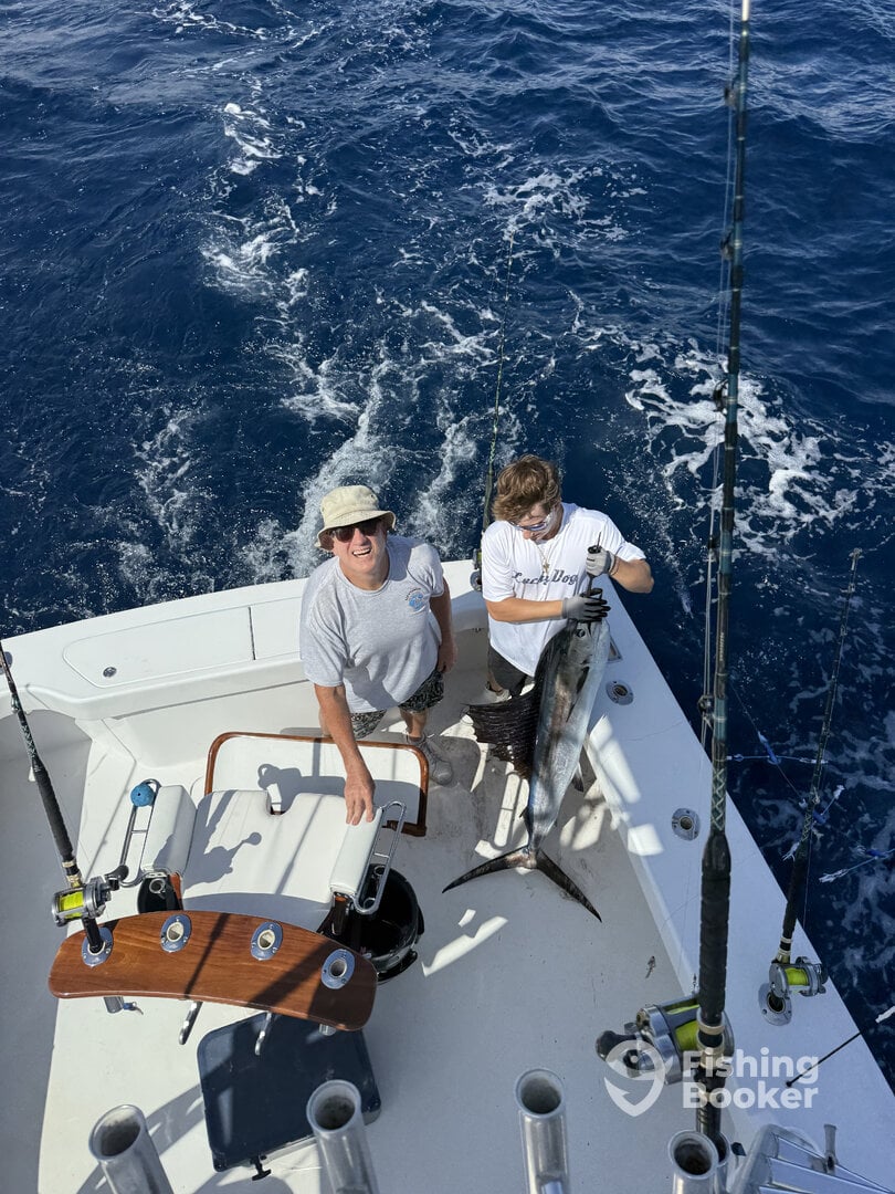 Palm Beach Report Photo 0