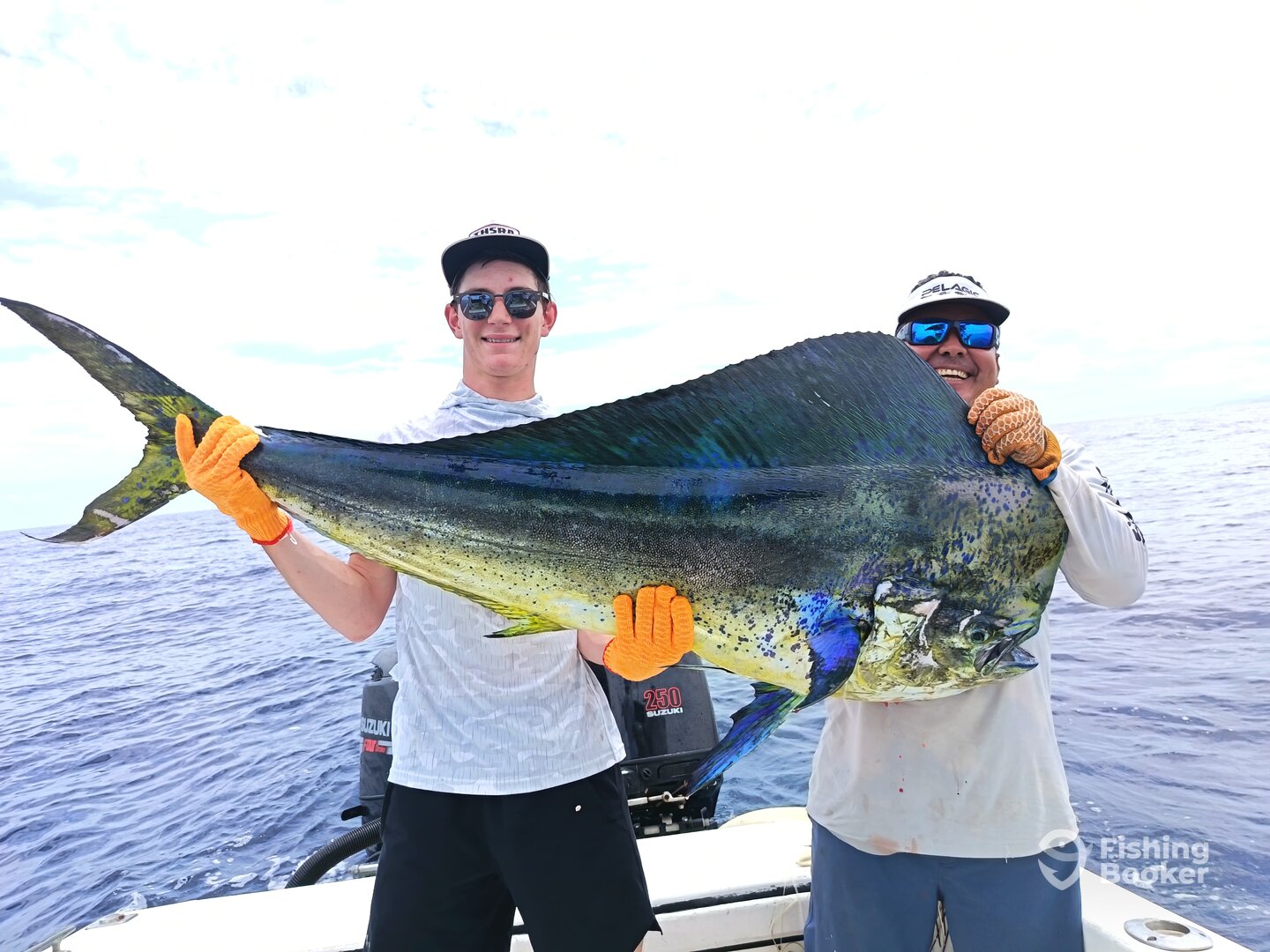 Guanacaste Report Photo 0