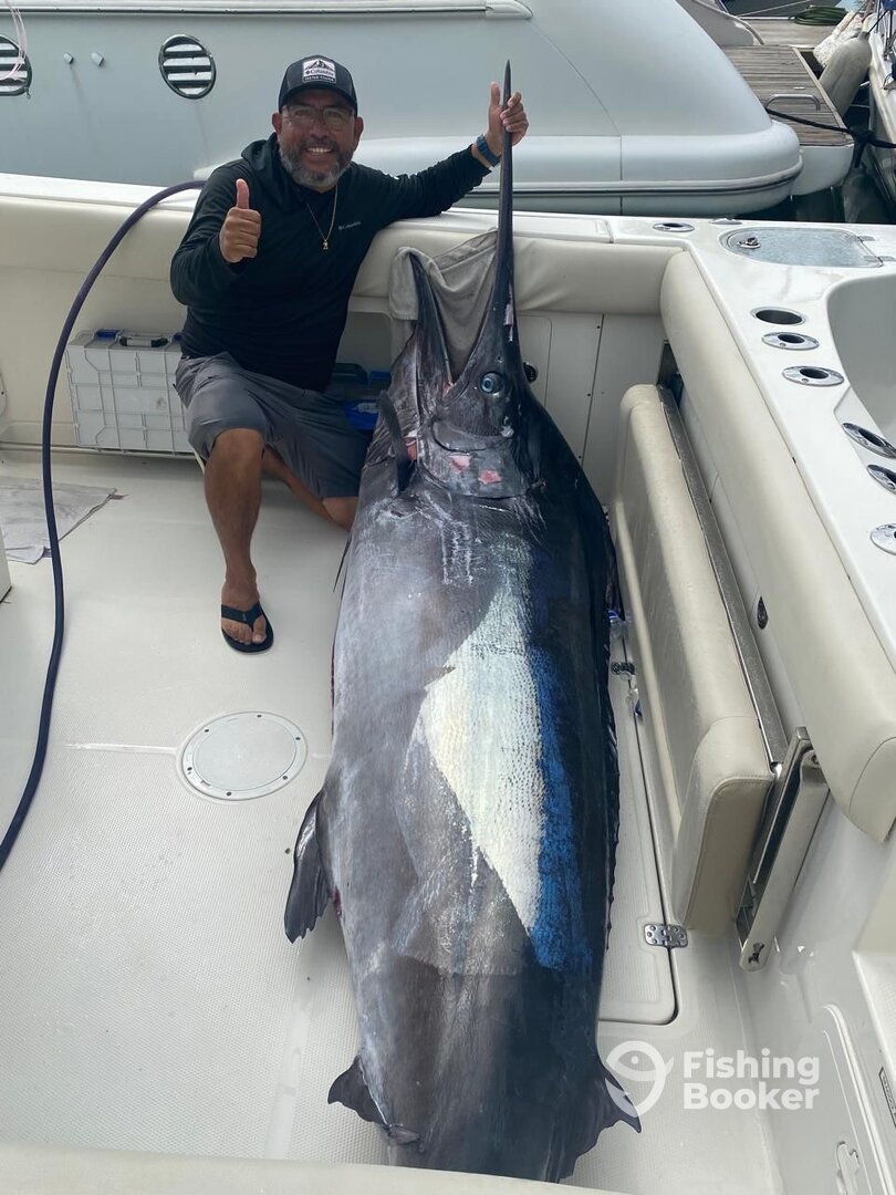 Nuevo Vallarta Report Photo 0