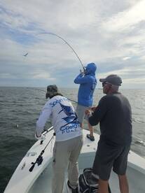 Corpus Christi Report Photo 2