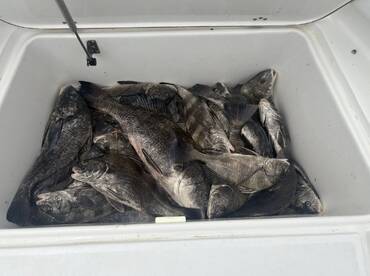 Texas Report Photo 1