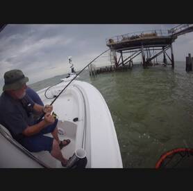 Trinity Bay Report Photo 2