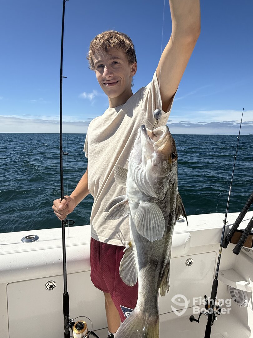Catalina Island Report Photo 0
