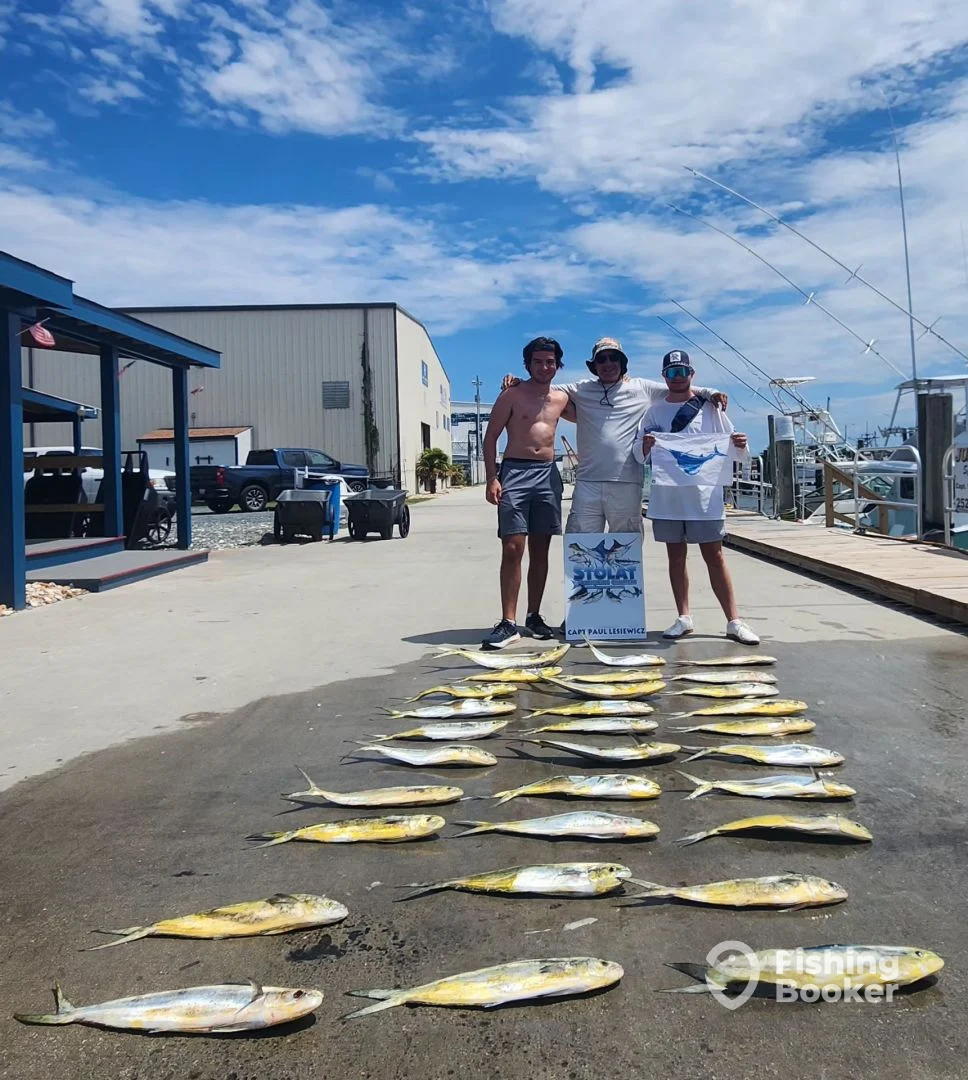 Wanchese Report Photo 0