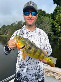 Gamboa Report Photo 2