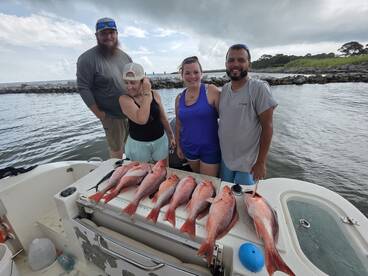 Gulf Shores Report Photo 1