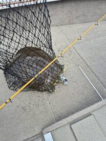 Amazing weather good fishing time. My fi