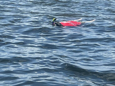 Steinhatchee Report Photo 1