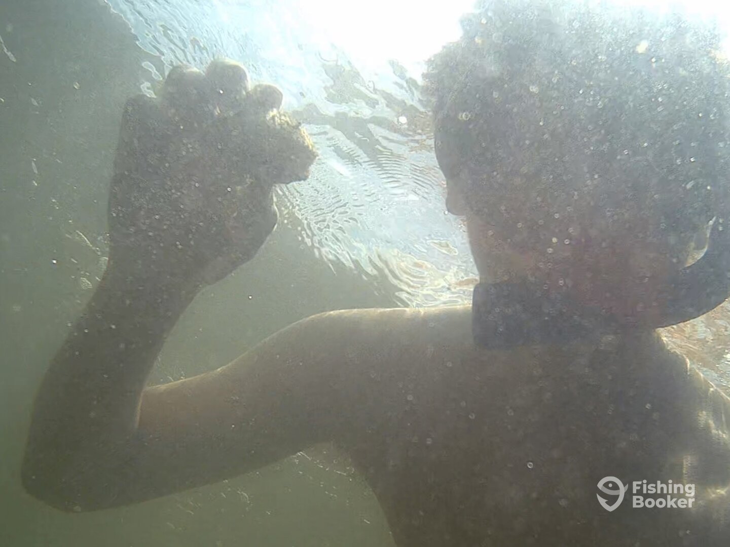 Steinhatchee Report Photo 0