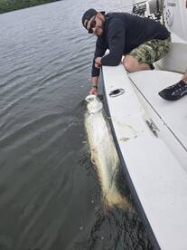 02/08/25 afternoon action