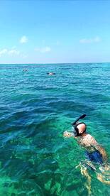 Quintana Roo Report Photo 3
