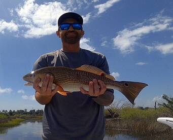 Jacksonville Report Photo 1