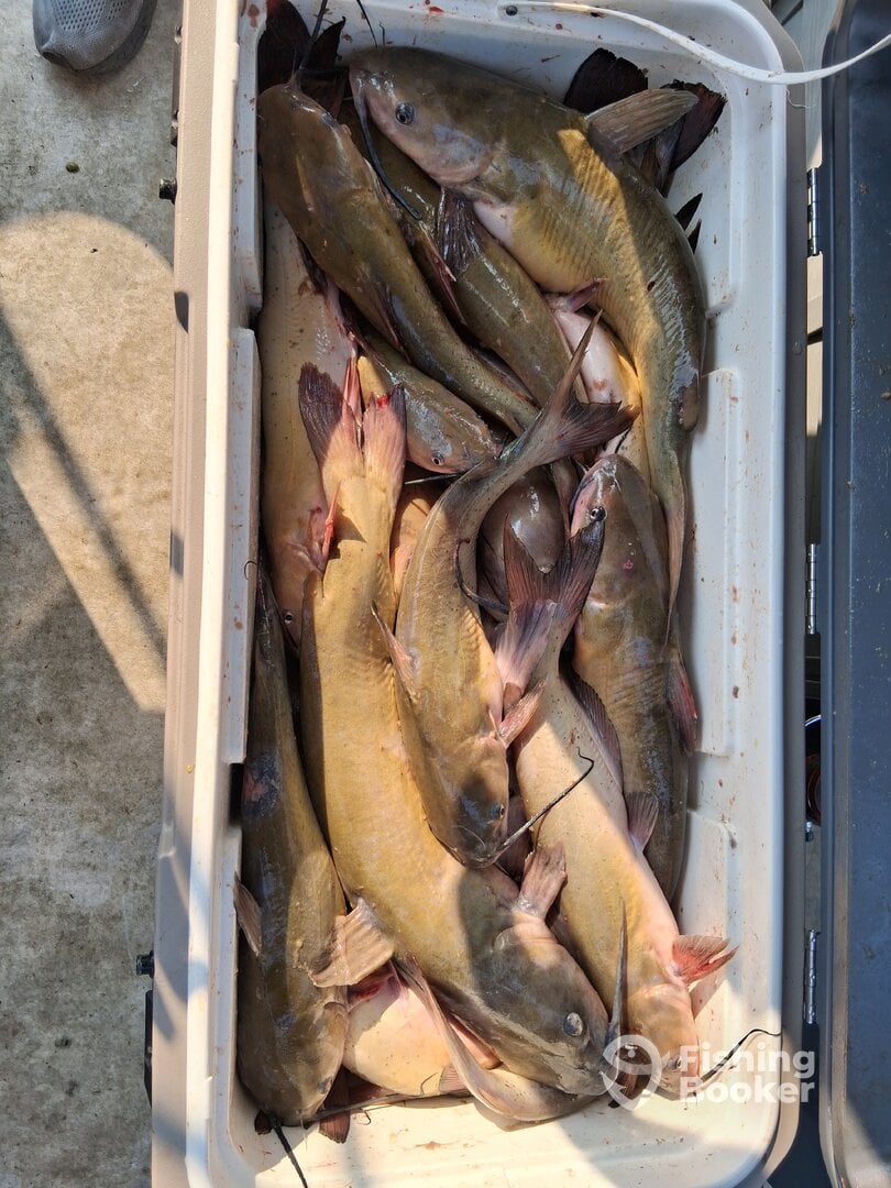 Catawba Island Report Photo 0