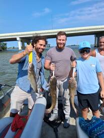 Catawba Island Report Photo 2