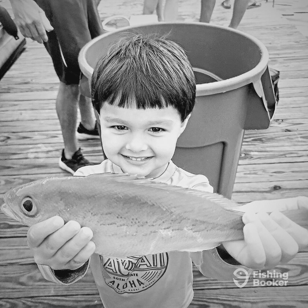 Destin Report Photo 0