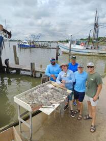 Pelican Island Report Photo 2