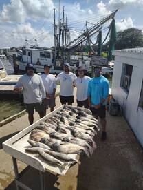 Pelican Island Report Photo 1