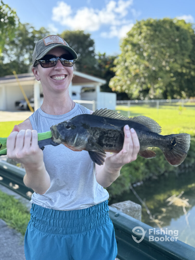 Tavernier Report Photo 0