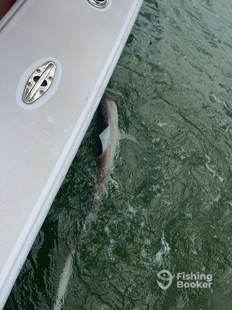 Marco Island Report Photo 0