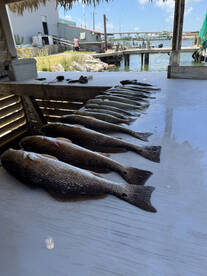 Port Aransas Report Photo 2