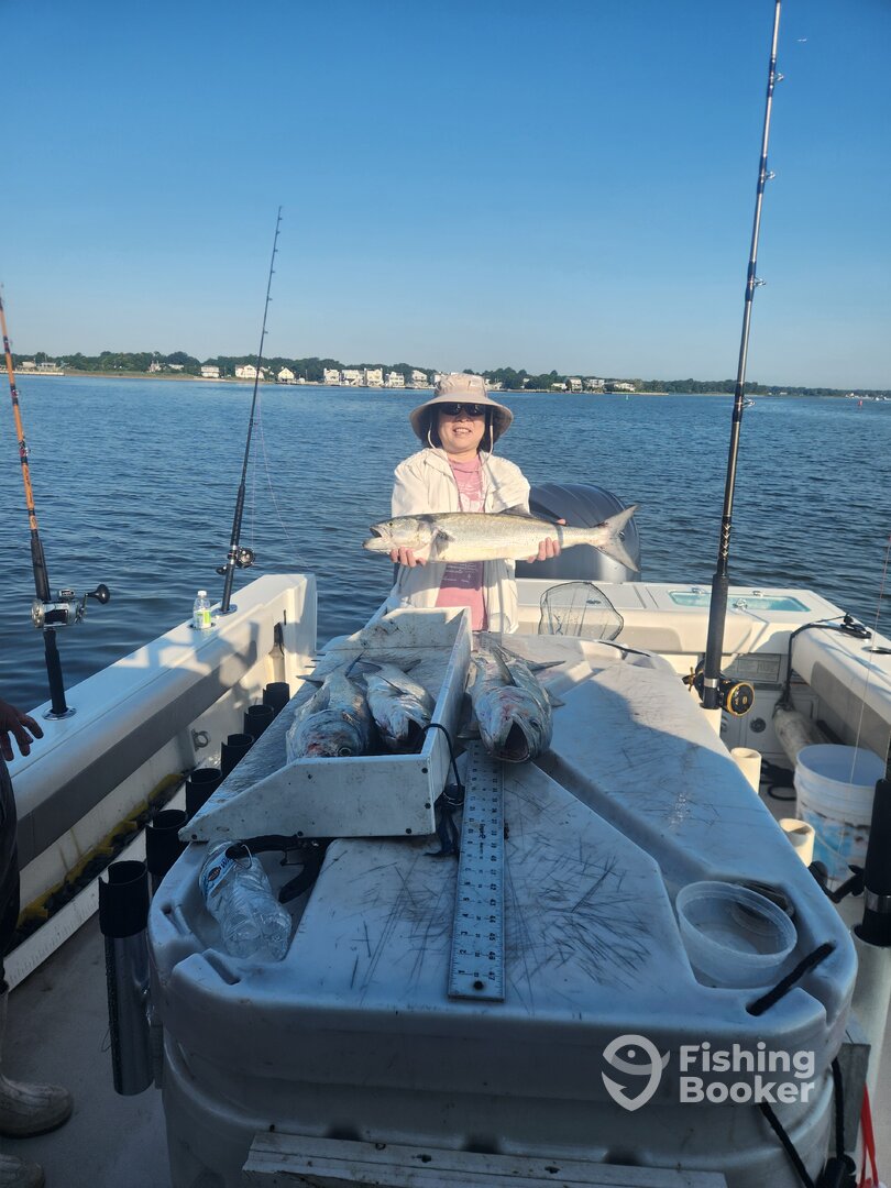 Mastic Report Photo 0