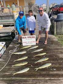 Dolphins and Wahoos!!