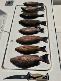 Lee County Report Photo 4