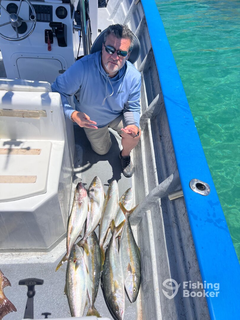 Baja California Report Photo 0