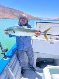 Bahía de los Ángeles Report Photo 1