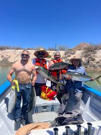 Bahía de los Ángeles Report Photo 2