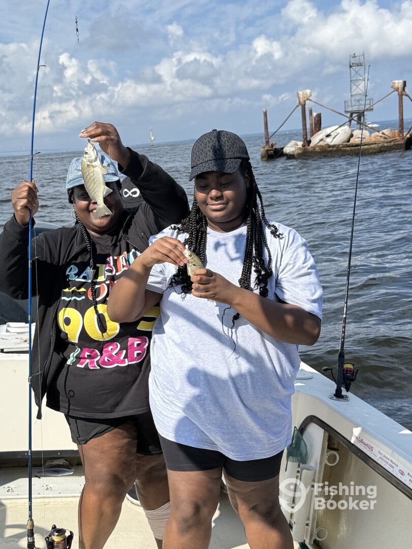 Kent Island Report Photo 0