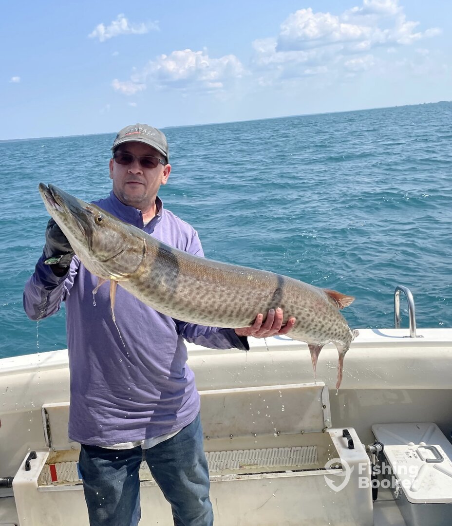 St. Clair Shores Report Photo 0