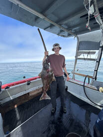 Ucluelet Report Photo 2