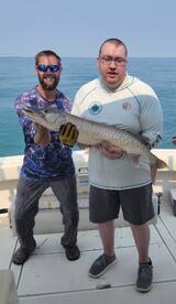 Multispecies Bachlor Party! 