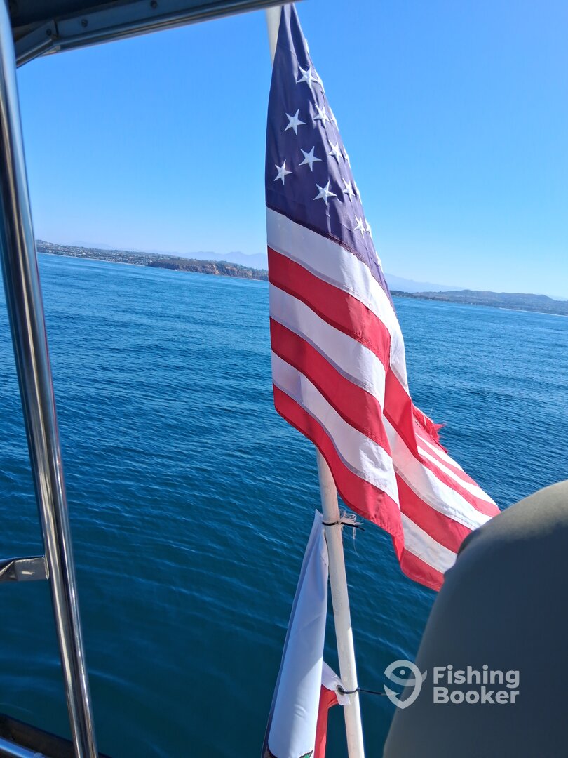 Catalina Island Report Photo 0