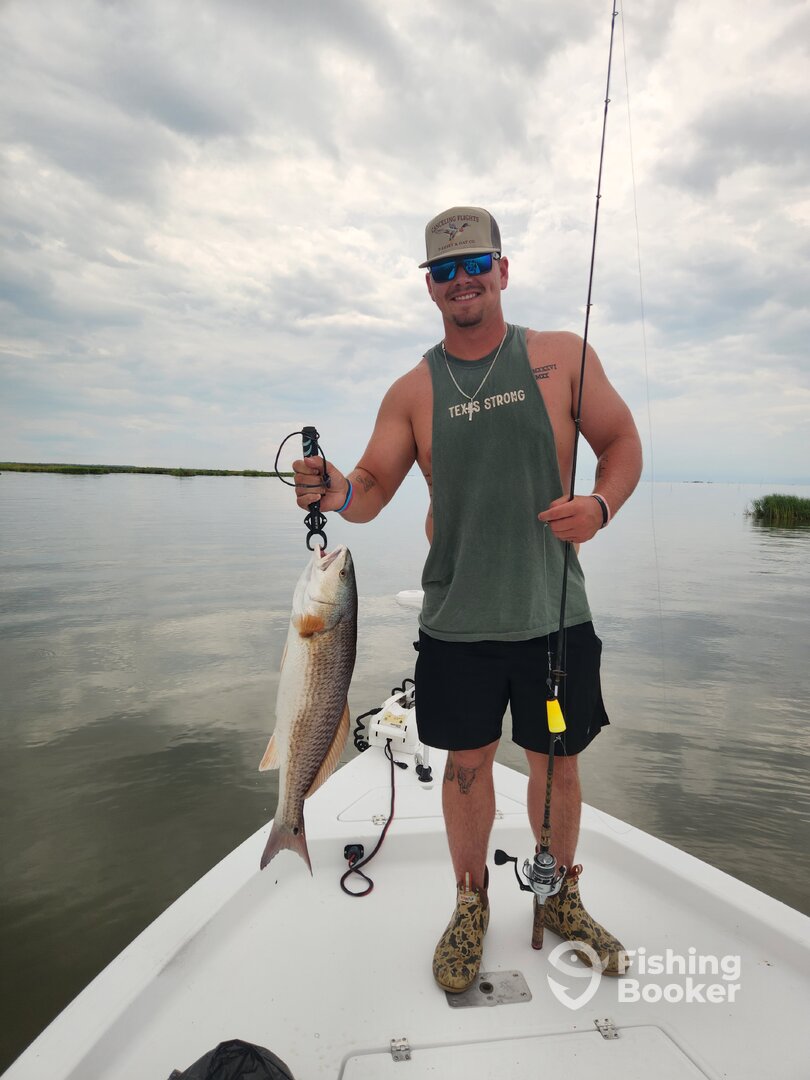 Jefferson Parish Report Photo 0