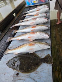 Jefferson Parish Report Photo 4