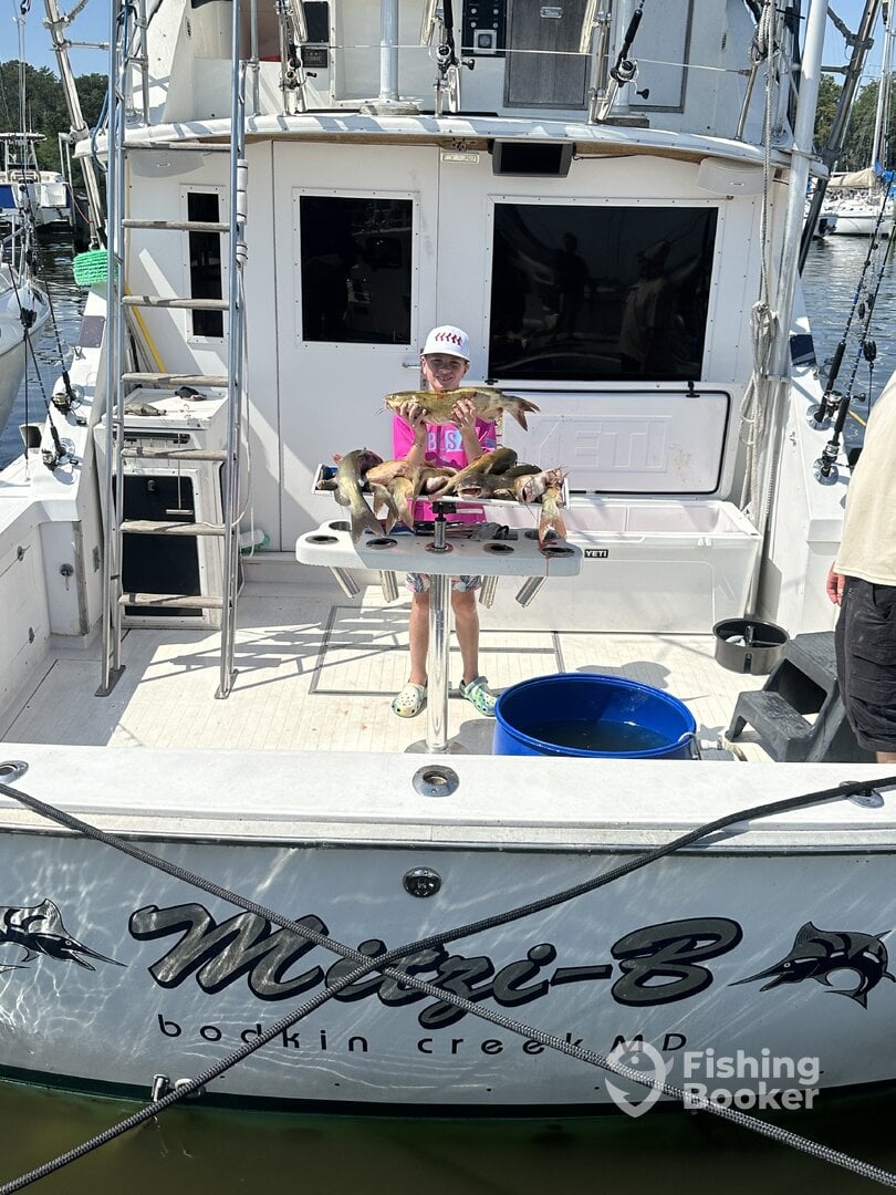 Chesapeake Bay Report Photo 0