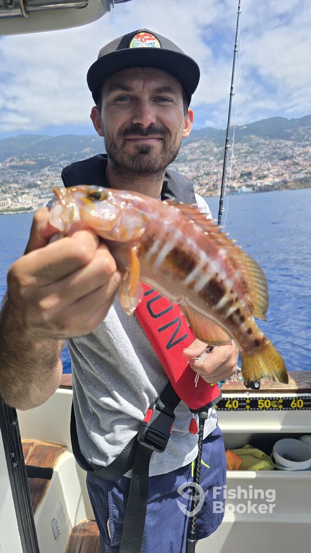 Madeira Report Photo 0