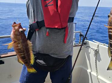Madeira Report Photo 2