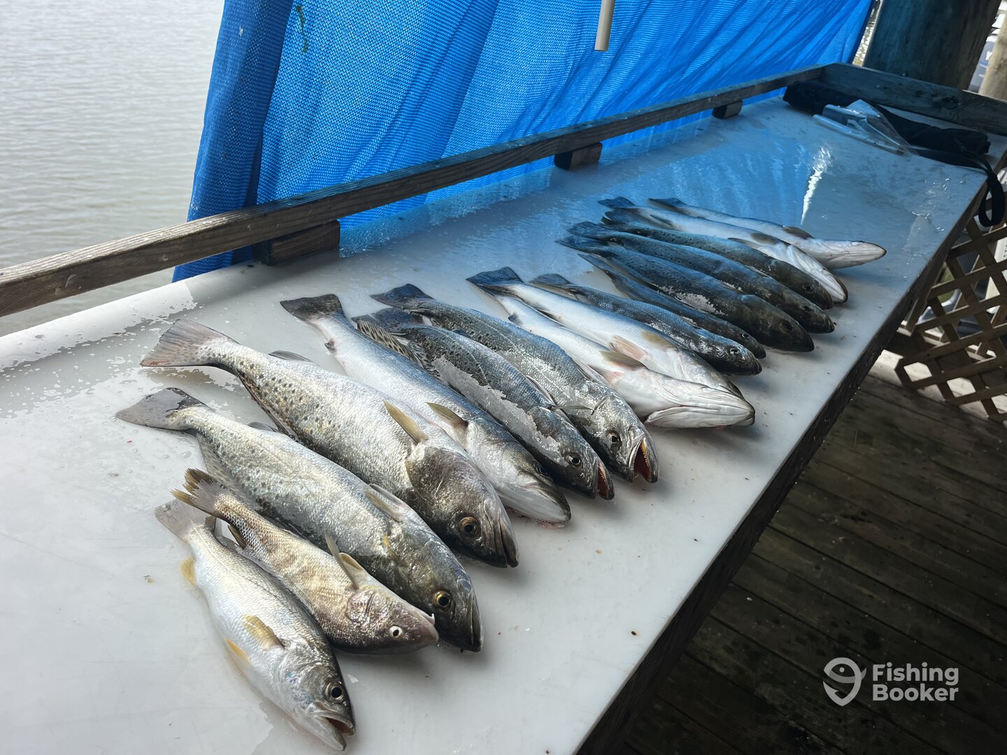 Mississippi Report Photo 0
