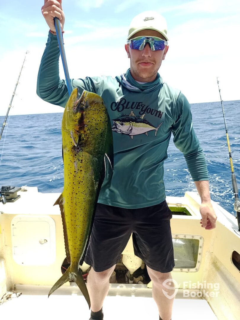 Cabo San Lucas Report Photo 0