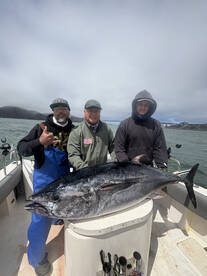 Sun-Tues 8/10-8/12 BLUEFIN TUNA