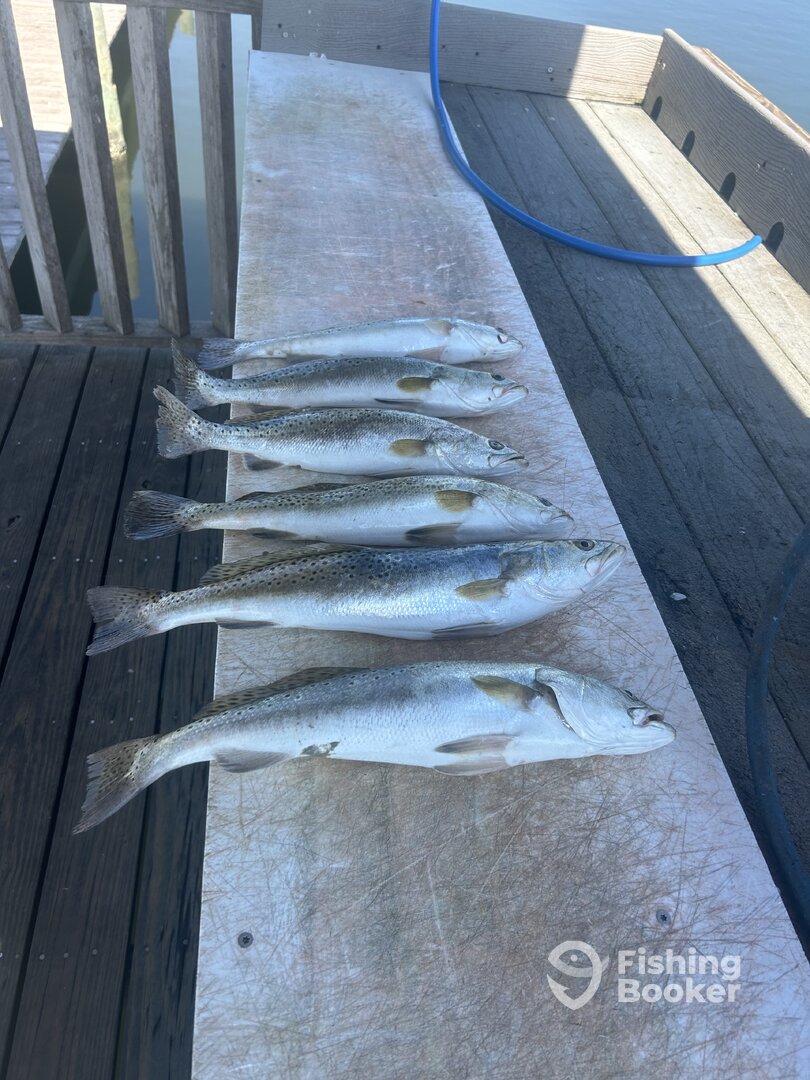 Copano Bay Report Photo 0