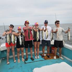 Solomons Report Photo 1