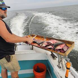 Chesapeake Bay Report Photo 2